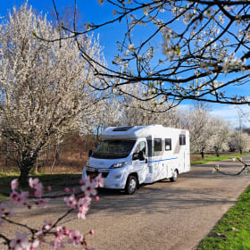 Sunliving s75 sl lengte bed