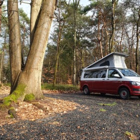 DreamCatcher – 4er Volkswagen Camper Van ab 2025 - viele Extras inklusive