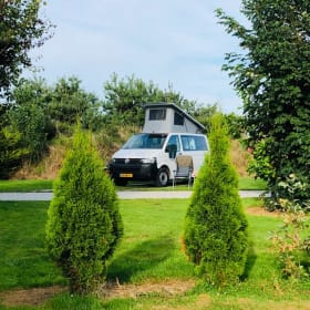 4p Volkswagen bus from 2014