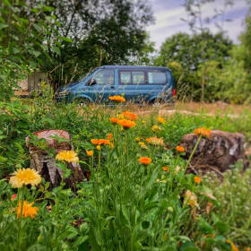 Toontje – Toontje: 4p Volkswagen campervan from 2017