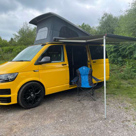 Bee – Incontra Bee - VW CamperVan T6