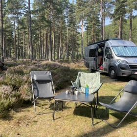 Gekke haai – Crazy Shark - 4p Fiat campervan 