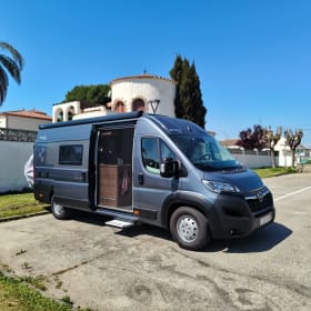 3p Anderer Bus ab 2024