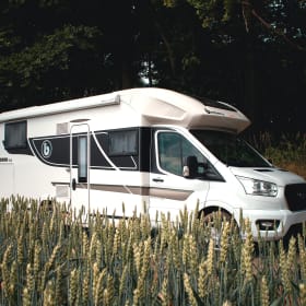 Benimar Cocoon 463 5p