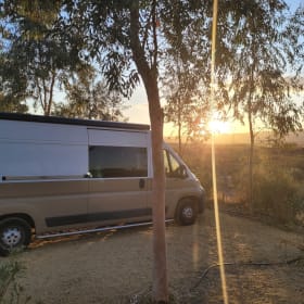 2p Fiat bus from 2016