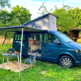 Toontje – Toontje: 4p Volkswagen campervan from 2017