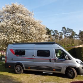 4p Bürstner bus from 2024