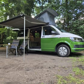 Green Adventurer – 4p Volkswagen bus from 2018