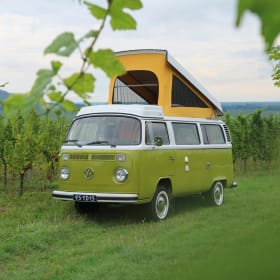 Sanseveria – Volkswagen T2b Westfalia Berlin '77