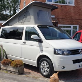 Wendy – Start your adventures with Wendy - Pets Welcome 🐕🐈‍⬛🐰