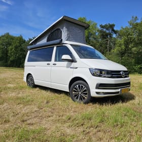 4p Volkswagen rooftop uit 2016