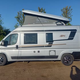 4p camper bus automatic from 2021