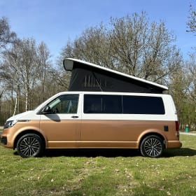 4p Volkswagen campervan uit 2021