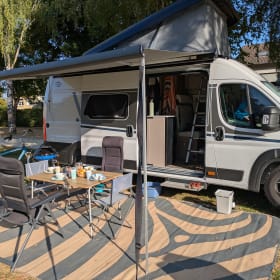 Bingo – 4er Carado-Bus ab 2025