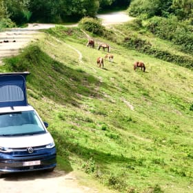 Californiacation – Volkswagen California uit 2025