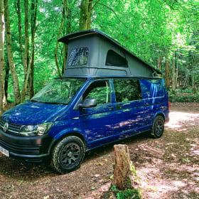 Myfanwy – VW T6 4-persoons campervan
