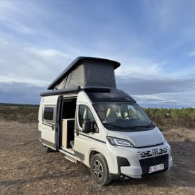 4p Fiat bus uit 2025