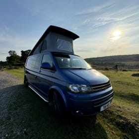 Belle – Porta Belle in un'avventura con i tuoi amici, la tua famiglia e i tuoi animali domestici