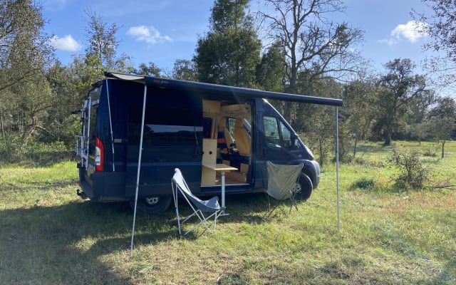 Alquiler - Camper gran volumen - null - #30546