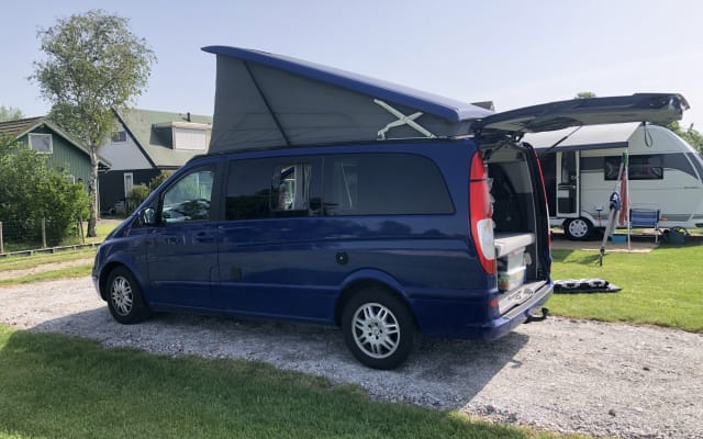 Huur - Buscamper - null - #96528