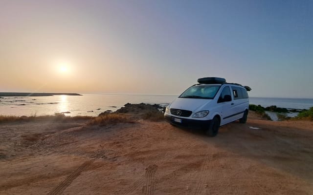 Rental - Campervan - null - #65502
