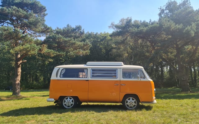 Huur - Campervan - null - #64313