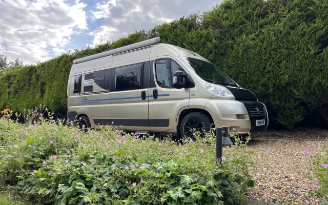 Rental - Campervan - null - #57939