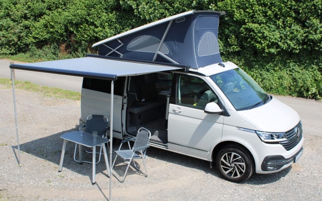 Rental - Campervan - null - #97311