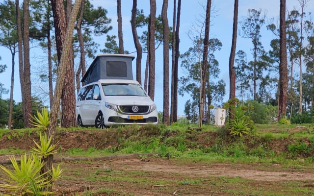 Boeking - Campervan - null - #96940