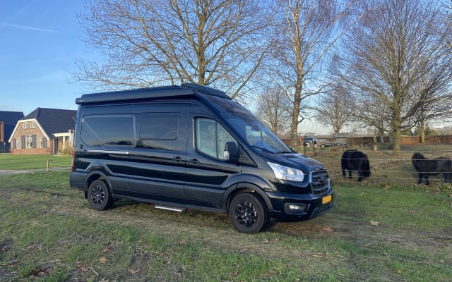 Boeking - Buscamper - null - #83504