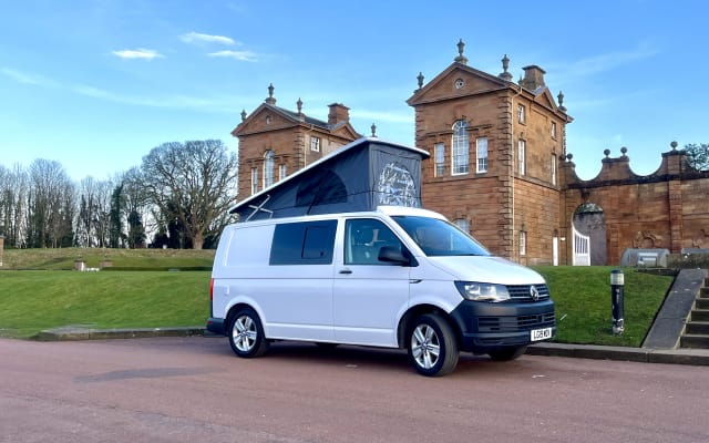 Rental - Campervan - null - #94291