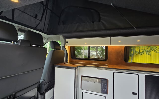 Rental - Campervan - null - #91660