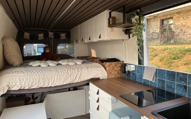 Rental - Large campervan - null - #97837