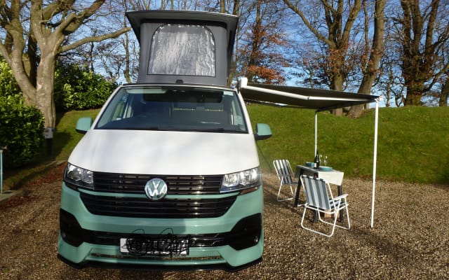 Rental - Campervan - null - #70515