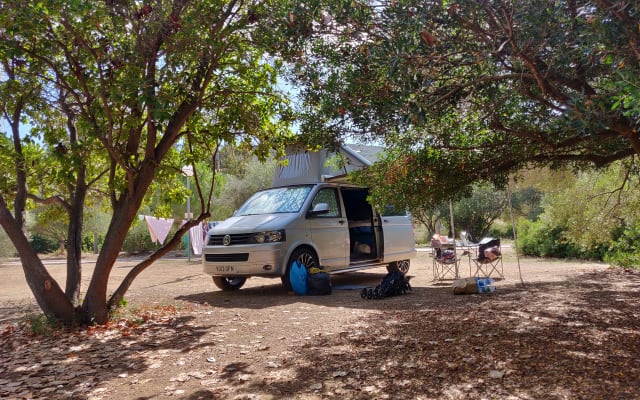 Rental - Campervan - null - #94014