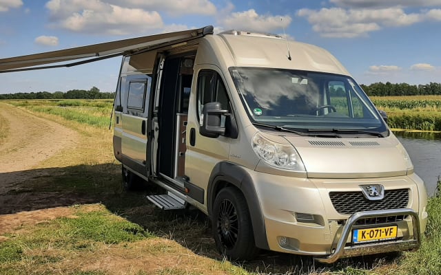 Boeking - Buscamper - null - #39111