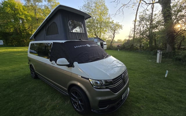 Rental - Campervan - null - #82393