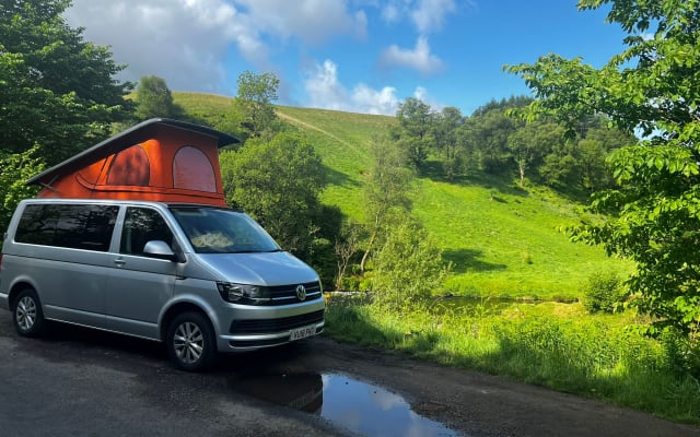 Rental - Campervan - null - #83593