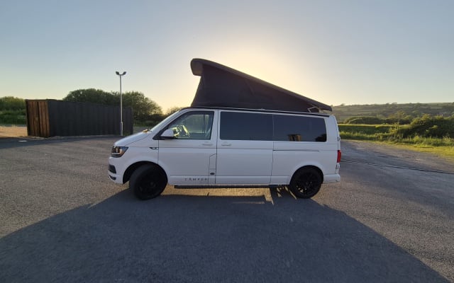 Rental - Campervan - null - #97036