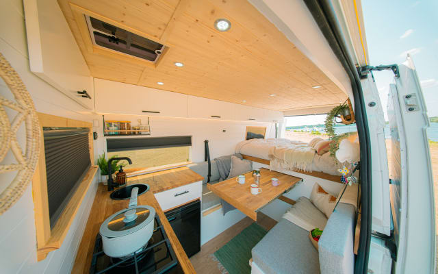 Rental - Campervan - null - #92466