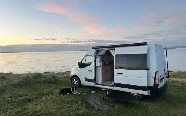 Rental - Campervan - null - #97639