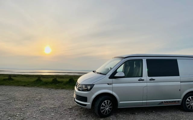 Rental - Campervan - null - #33593