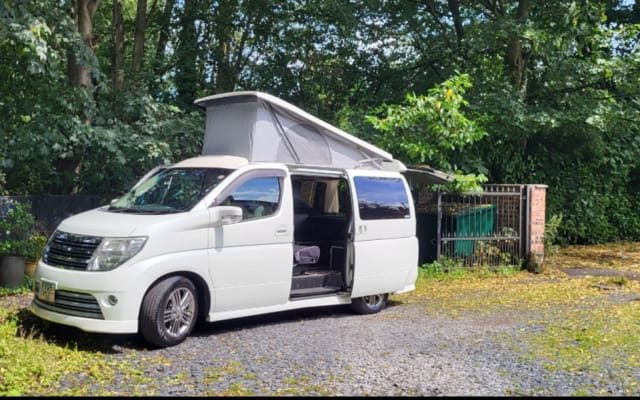 Rental - Campervan - null - #86016