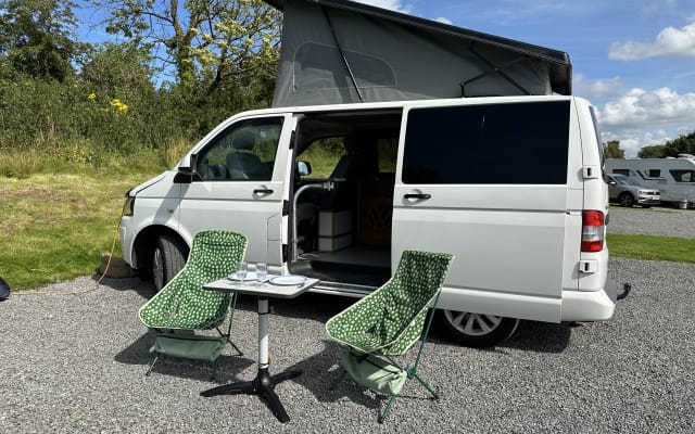 Rental - Campervan - null - #97915