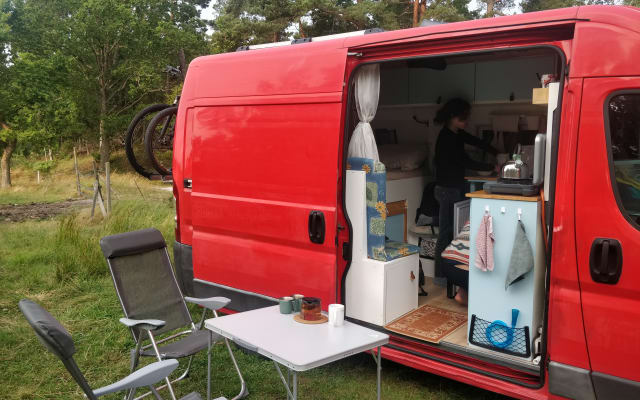 Boeking - Buscamper - null - #93181