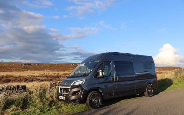Rental - Campervan - null - #95868