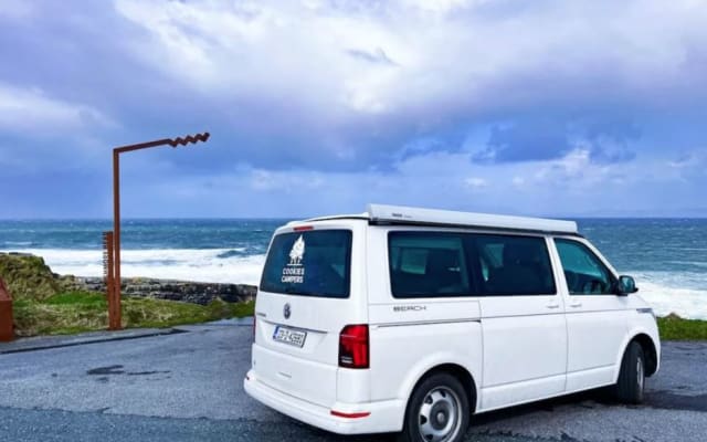 Hire - Campervan - null - #81714