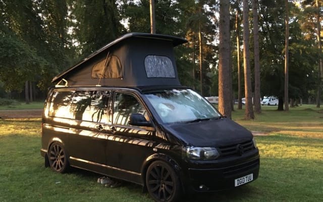 Rental - Campervan - null - #43195