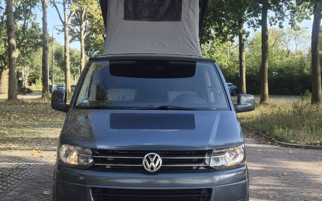 Rental - Campervan - null - #95752