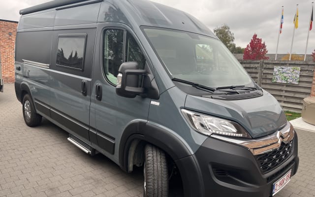 Huur - Buscamper - null - #92786